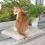 Котешка легло за перваза - 51 x 36 см