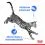 Royal Canin Indoor Sterilised In Gravy Пакет 12 x 85 г