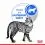 Royal Canin Indoor Sterilised In Gravy Пакет 12 x 85 г