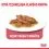 Royal Canin Indoor Sterilised In Gravy Пакет 12 x 85 г