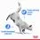 Royal Canin Light Weight Care диетични гранули за котки 1,5 кг