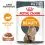 Royal Canin Hair & Skin Care Gravy консерви за котки в сос 12 x 85 г
