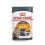 Royal Canin Hair & Skin Care Gravy консерви за котки в сос 12 x 85 г
