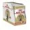Royal Canin British Shorthair консерви за британски късокосмести котки в сос 12 x 85 г
