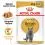 Royal Canin British Shorthair консерви за британски късокосмести котки в сос 12 x 85 г
