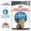 Royal Canin Ultra Light Jelly пакетче за котки с наднормено тегло в желе 12 x 85 г