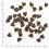 WOLFSBLUT Wide Plain Small Breed 2 кг