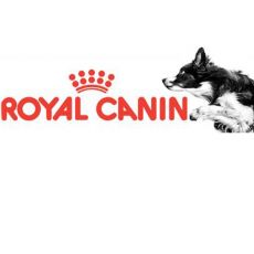 Royal Canin Adult
