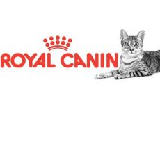 Royal Canin Adult