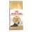 Royal Canin Persian Adult гранули за възрастни персийски котки 2 кг