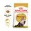 Royal Canin Persian Adult гранули за възрастни персийски котки 2 кг