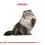 Royal Canin Persian Adult гранули за възрастни персийски котки 10 кг