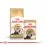 Royal Canin Persian Adult гранули за възрастни персийски котки 10 кг