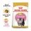 Royal Canin Persian Kitten гранули за персийски котенца 2 kg