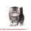 Royal Canin Persian Kitten гранули за персийски котенца 2 kg