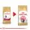 Royal Canin Persian Kitten гранули за персийски котенца 2 kg