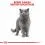 Royal Canin British Shorthair Adult гранули за британски късокосмести котки 2 кг