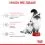 Royal Canin Mother&Babycat гранули за бременни или кърмещи котки и котенца 2 кг