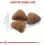 ROYAL CANIN Indoor гранули за възрастни котки, отглеждани в апартамент 2 кг