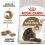 Royal Canin Ageing 12+ гранули за стари котки 2 кг