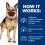 Hill s Prescription Diet Gastrointestinal Biome Грижа за храносмилането за кучета 10 кг