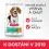 Hill s Science Plan Perfect Weight за средни възрастни кучета с пиле 12 кг