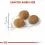 Royal Canin Aromatic Exigent гранули за привързани котки 10 кг