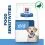 Hill s Prescription Diet d/d Алергия и грижа за кожата за кучета с патица 12 кг