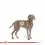 ROYAL CANIN Maxi Dermacomfort гранули за големи кучета с проблеми с кожата 2 x 12 кг