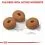 ROYAL CANIN Maxi Light Weight Care диетични гранули за големи кучета 2 x 12 кг