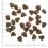 WOLFSBLUT Hunters Pride 2 x 12,5 кг