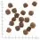 WOLFSBLUT Дивечова патица 2 x 12,5 кг