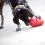 Kong Wobbler червена S