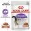 Royal Canin Sterilised Gravy консерви за кастрирани котки в сос 24 x 85 г