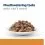 Hill s Prescription Diet Feline Kidney Care k/d Salmon 12 x 85 г