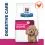 Hill s Prescription Diet Gastrointestinal Biome Mini Грижа за храносмилането 1 кг