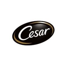CESAR