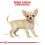 ROYAL CANIN Chihuahua Puppy гранули за кученце чихуахуа 500 г