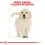 ROYAL CANIN Golden Retriever Puppy гранули за кученце на златен ретривър 12 кг