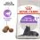 ROYAL CANIN Sterilised 7+ гранули за остаряващи кастрирани котки 1,5 кг