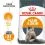 Royal Canin Hair And Skin Care гранули за котки за здрава кожа и козина 0,4 кг