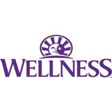 WELLNESS CORE