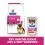 Hill s Prescription Diet Gl Biome Stew Грижа за храносмилането консерви за кучета 6 x 354 г