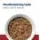 Hill s Prescription Diet i/d Stew Грижа за храносмилането консерви за кучета 12 x 354 г