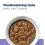 Hill s Prescription Diet i/d Low Fat Stew Mini Грижа за храносмилането за кучета 6 x 156 г