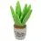 Играчка за кучета P.L.A.Y. Aloe