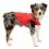 Непромокаемо яке за кучета Kurgo Loft Jacket - Chili Red/Charcoal, XS
