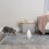Играчка за котки PetSafe Zoom Laser Toy