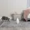 Играчка за котки PetSafe Zoom Laser Toy