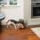 Кормушка Healthy Pet Simply Feed